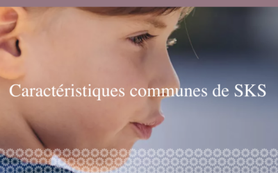 Les caractéristiques communes SKS