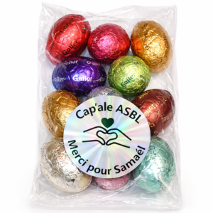 🐣 Vente d’Œufs de Pâques 2026 <br /> Chocolats Galler solidaires