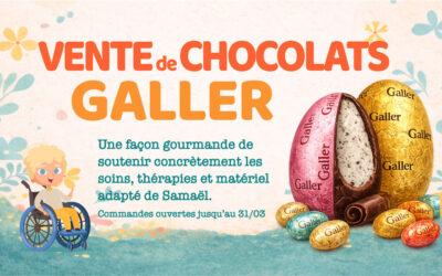 Vente d’oeufs Galler 2026 : Bien plus que de simples chocolats